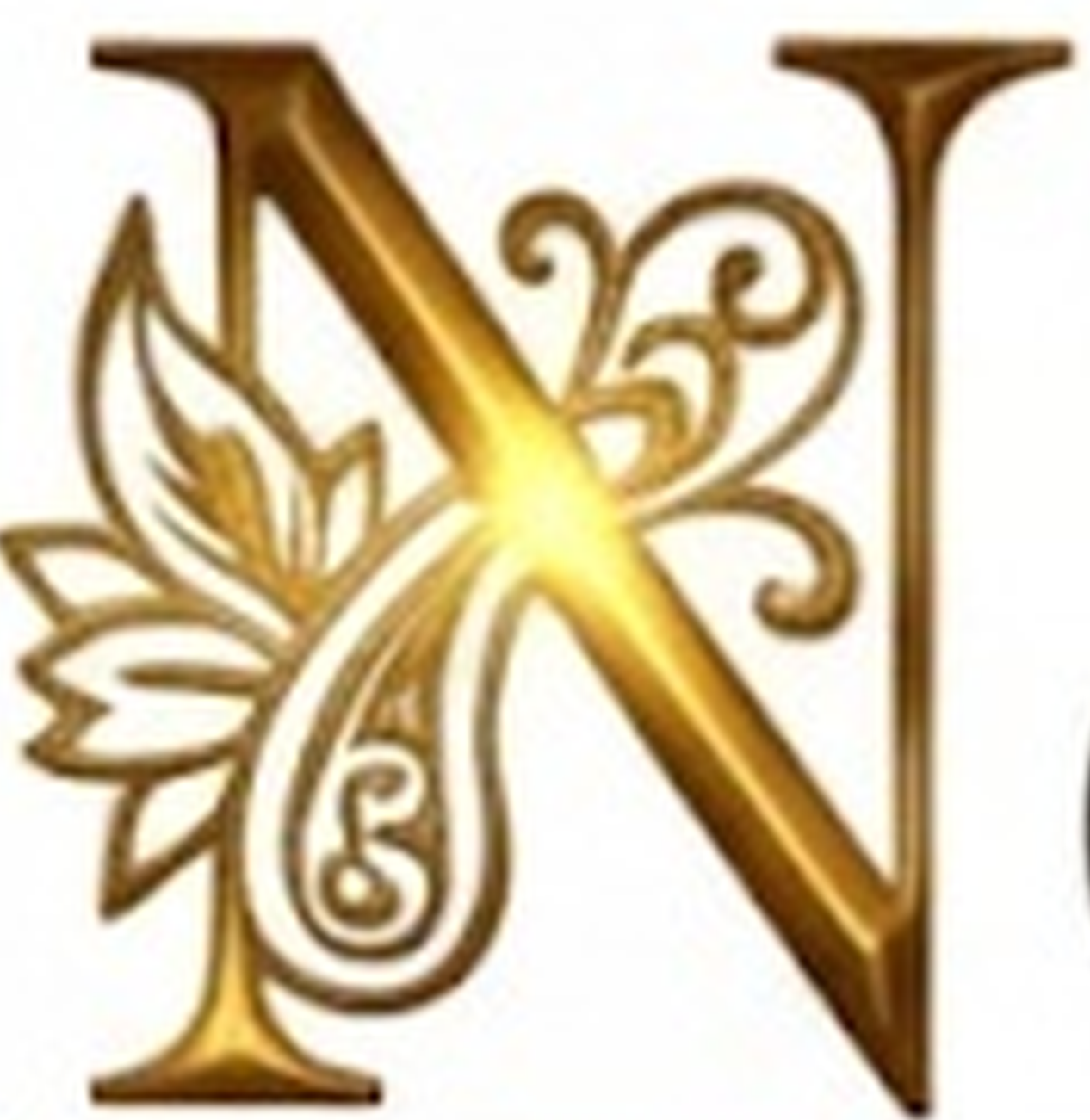 thenavisha.com